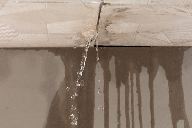 Professional Burst Pipe Cleanup technician working in Doylestown, OH